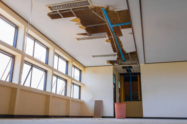 Best Professional water damage repair  in Cloverdale, CA