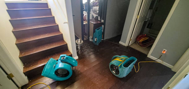 Best Basement water damage restoration  in Cloverdale, CA