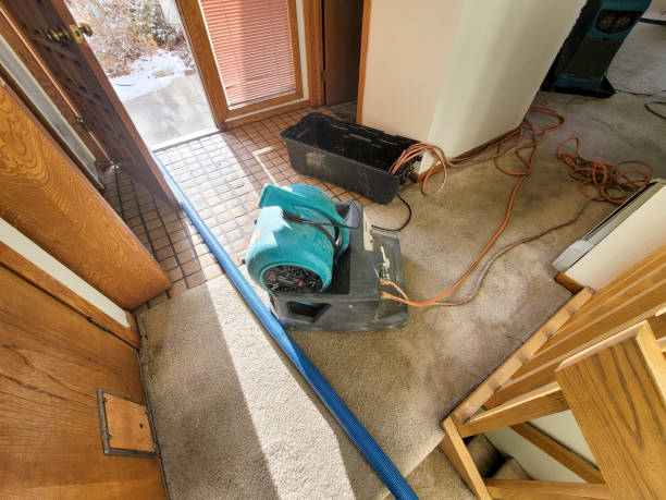 Best Water damage restoration near me  in Cloverdale, CA