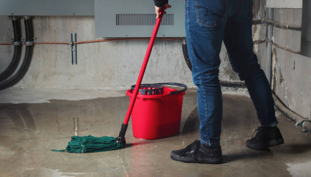 Best Professional water damage repair  in Cloverdale, CA
