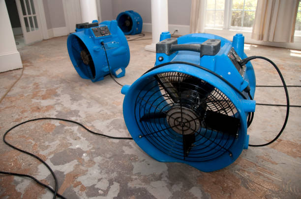 Best Sewage cleanup and water damage restoration  in Cloverdale, CA