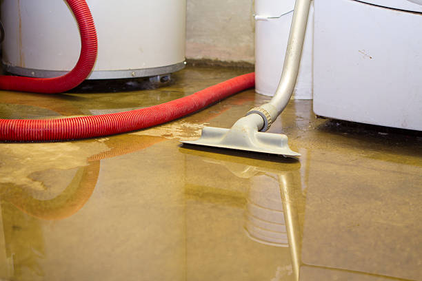 Best Water damage restoration process  in Cloverdale, CA