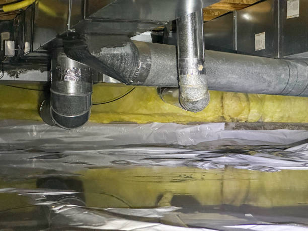 Best Mold removal after water damage  in Cloverdale, CA