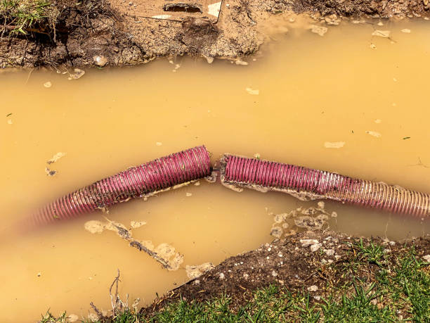 Best 24/7 water damage repair  in Cloverdale, CA